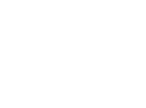 SKOL CASINO Logo
